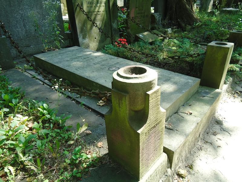 Zdjęcie grobu Tadeusz Przybyszewski (2)