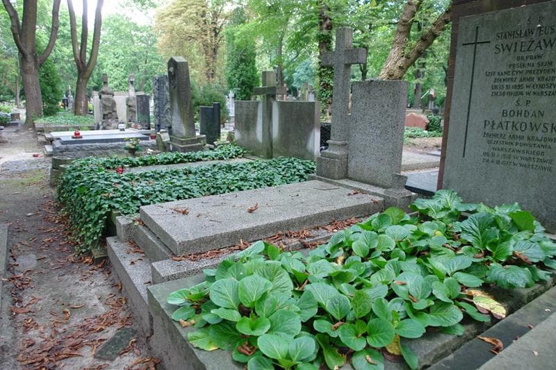 Zdjęcie grobu: Edward Podolecki