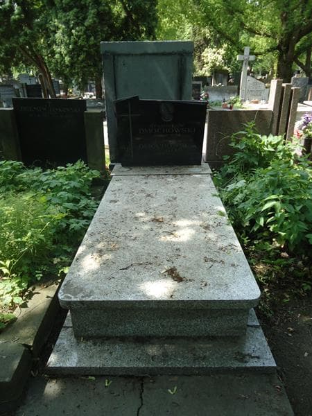 Zdjęcie grobu: Stanisław Dmochowski