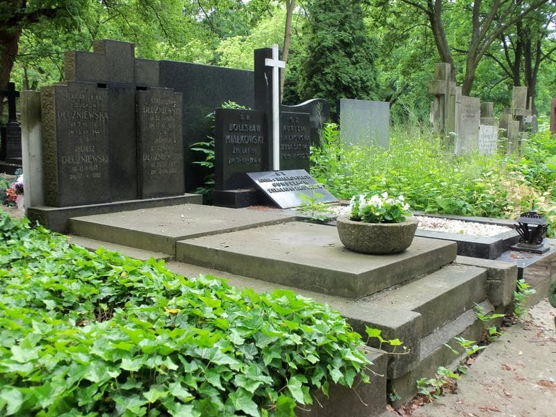Zdjęcie grobu Stanisław Dłużniewski (1)