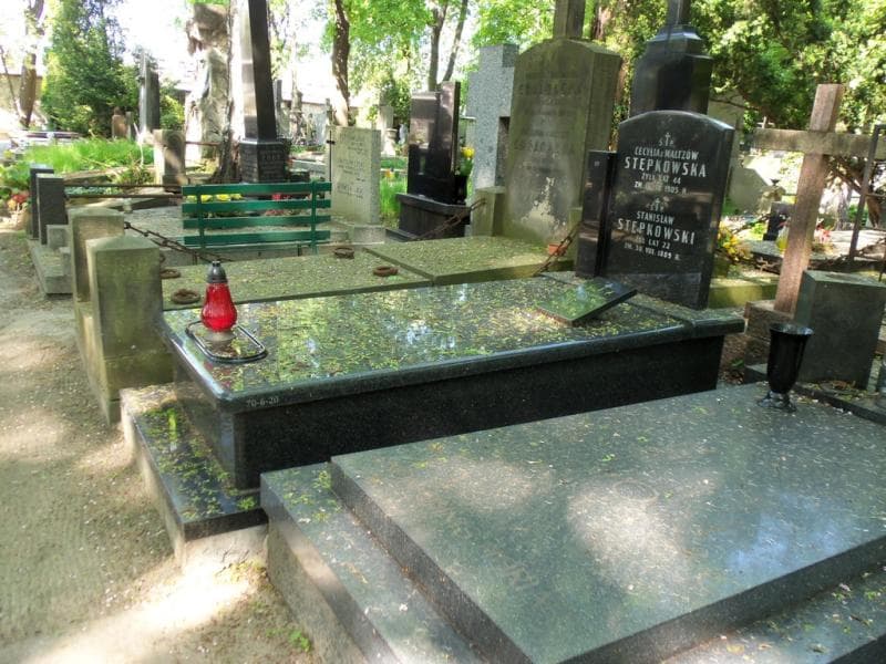 Zdjęcie grobu Stanisław Stępkowski (1)