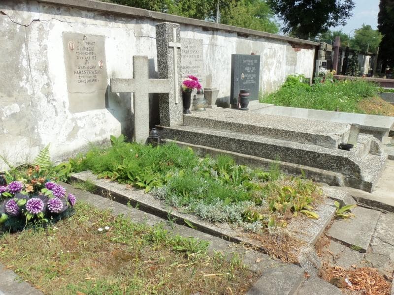 Zdjęcie grobu Stanisław Haraszewski (1)