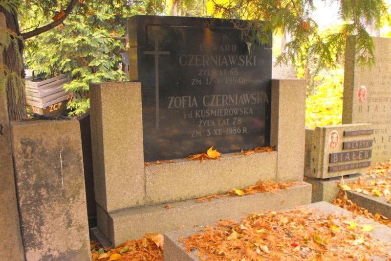 Zdjęcie grobu Zofia Czerniawska (2)