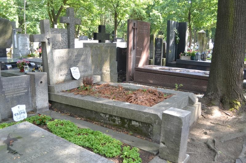 Zdjęcie grobu: Franciszek Brzozowski