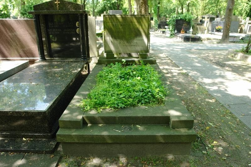 Zdjęcie grobu Cecylia Dławichowska (1)