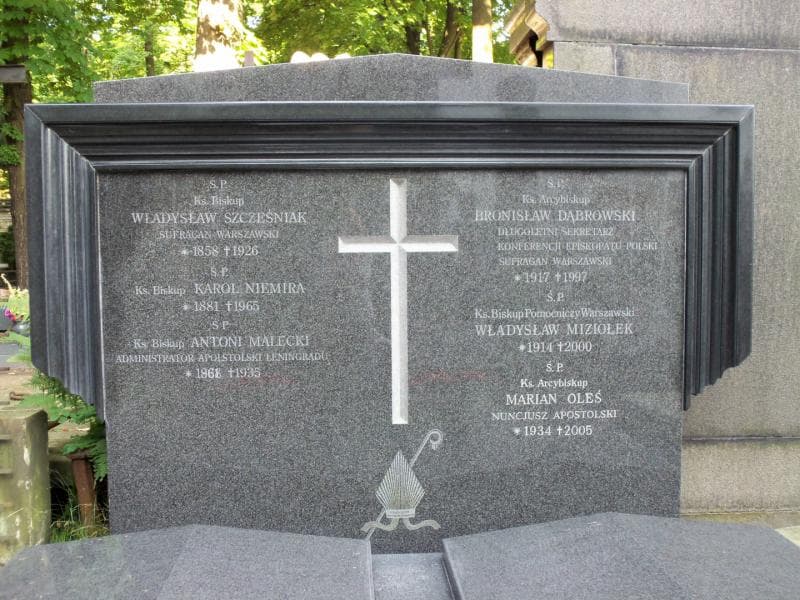 Zdjęcie grobu Marian Oleś (2)