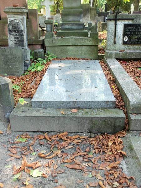 Zdjęcie grobu: Józef Tarnowski