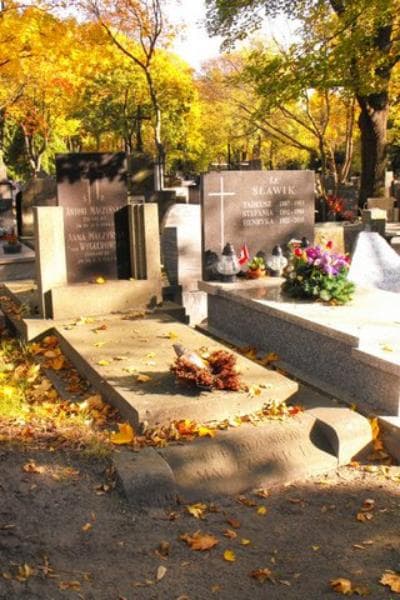 Zdjęcie grobu Anna Mączyńska (1)