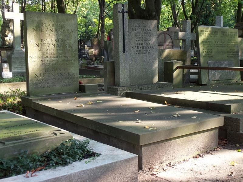 Zdjęcie grobu Irmina Nieznańska (1)
