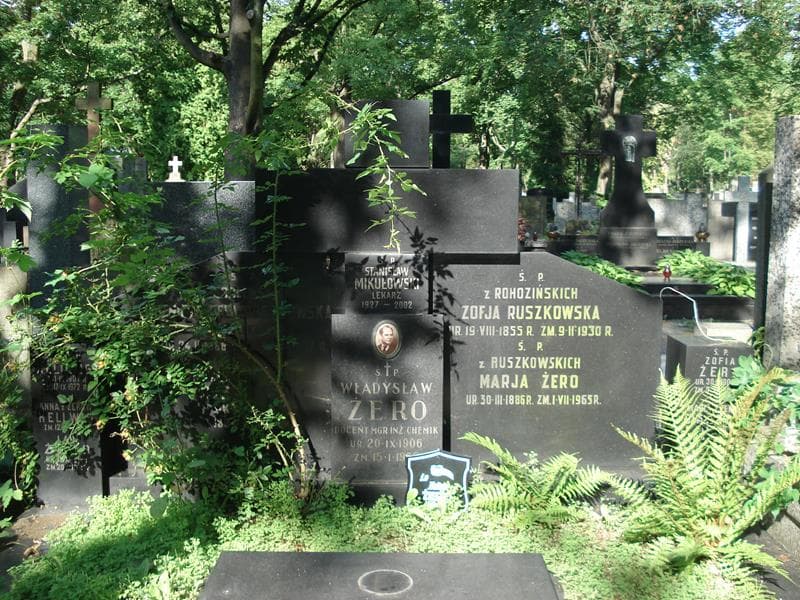 Zdjęcie grobu Wiktor Hellwig (2)