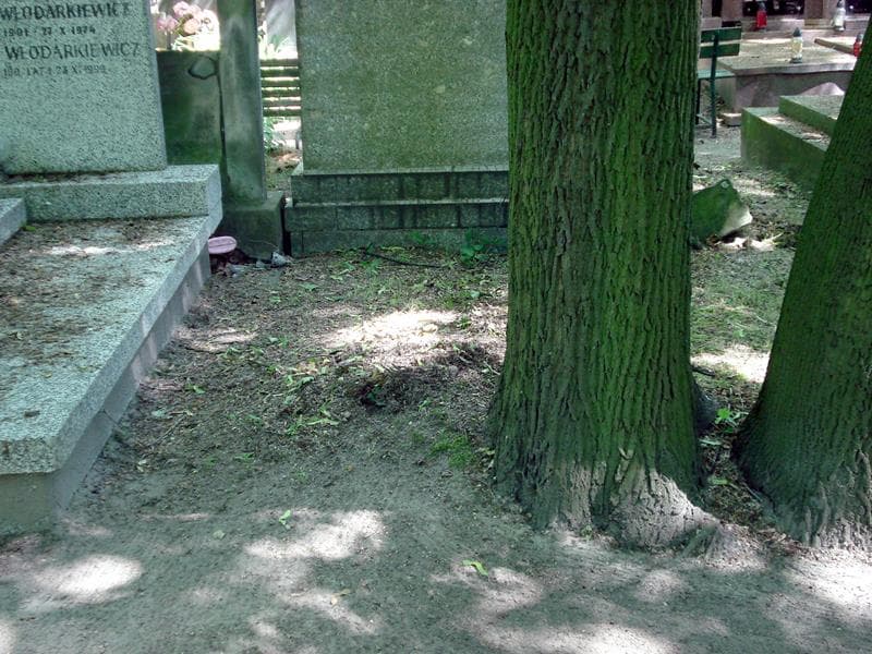Zdjęcie grobu: Pole Grobowe