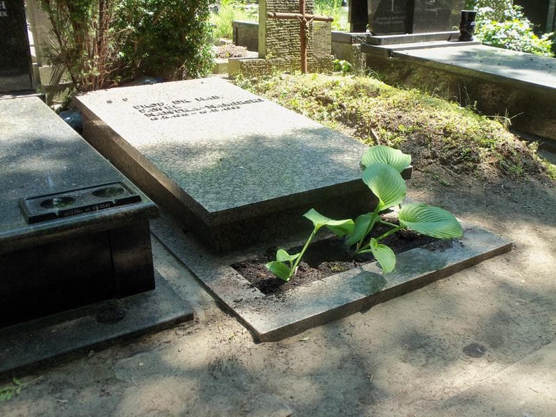 Zdjęcie grobu Paweł Nantka-Namirski (1)