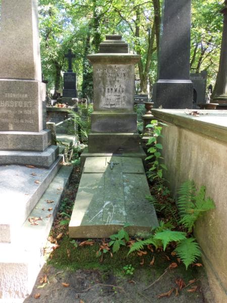 Zdjęcie grobu: Józefa Herman