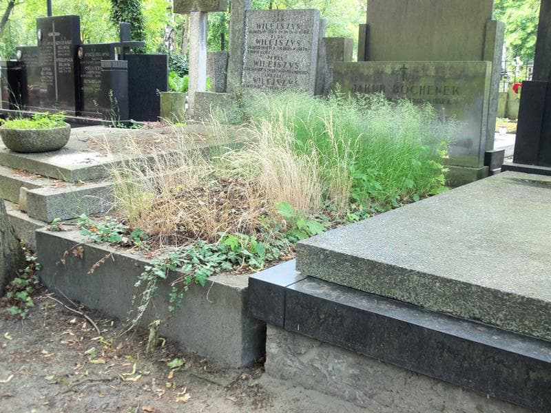 Zdjęcie grobu Ludwika Bochenek (1)