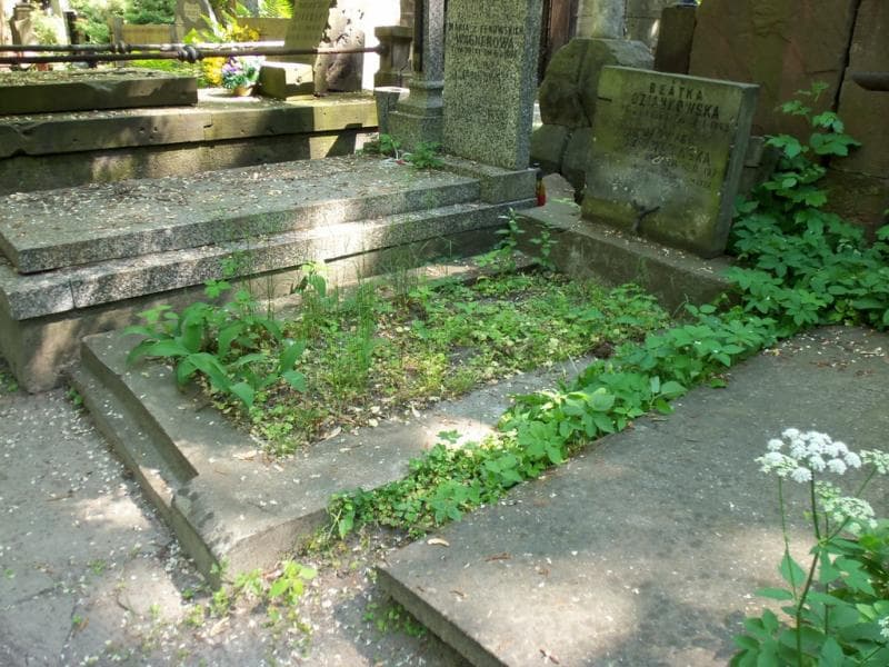 Zdjęcie grobu Beatka Dziankowska (1)