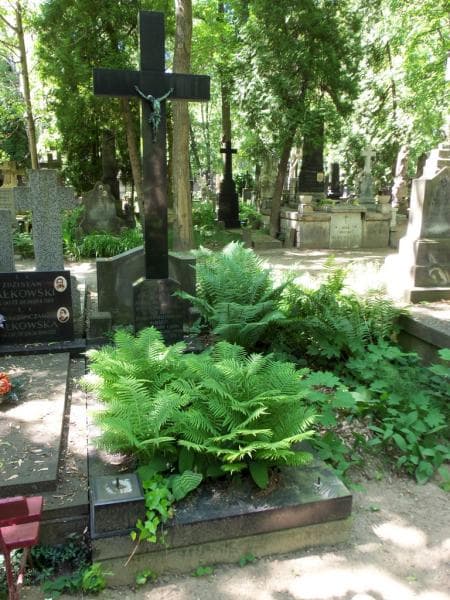 Zdjęcie grobu: Józef Rudzki