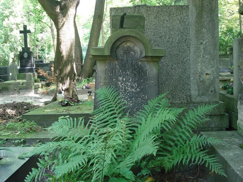 Zdjęcie grobu Mieczysław Kryński (2)