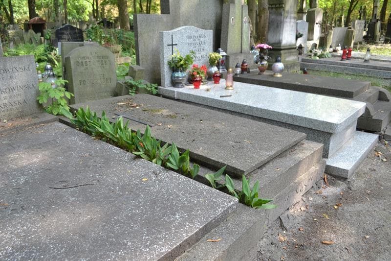 Zdjęcie grobu: Marja Dąbrowska