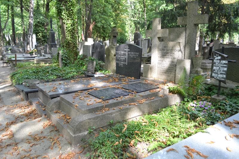 Zdjęcie grobu: Anna Dołęga - Cieszkowska
