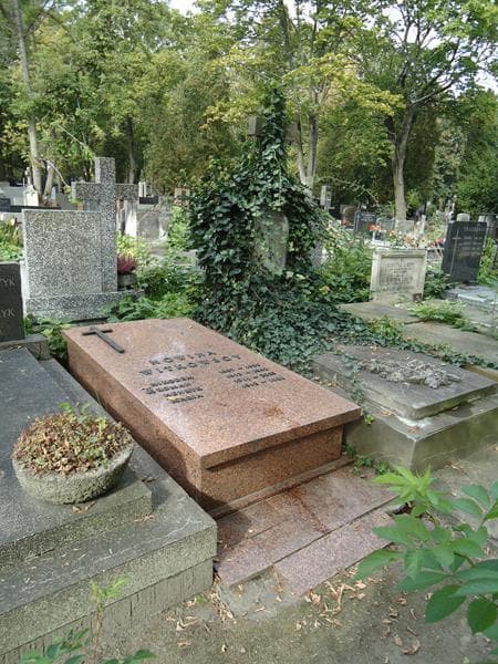Zdjęcie grobu Maria Nowina Witkowska (2)