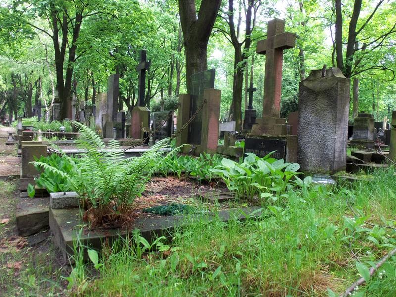 Zdjęcie grobu Emilia Brayczewska (1)