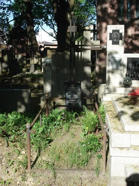 Zdjęcie grobu: Anna Pechel