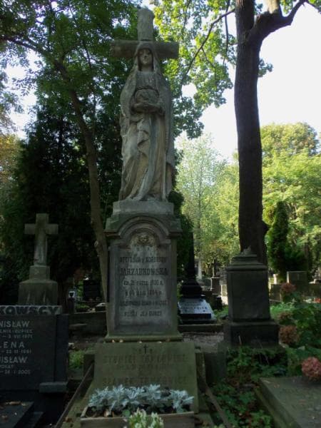 Zdjęcie grobu Sławek Tomkowicz (2)