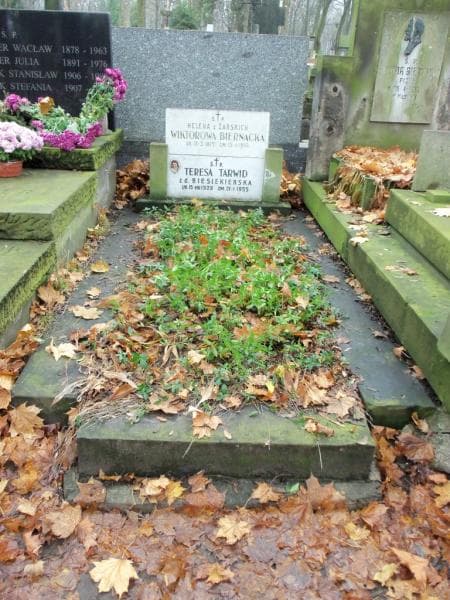 Zdjęcie grobu: Teresa Tarwid