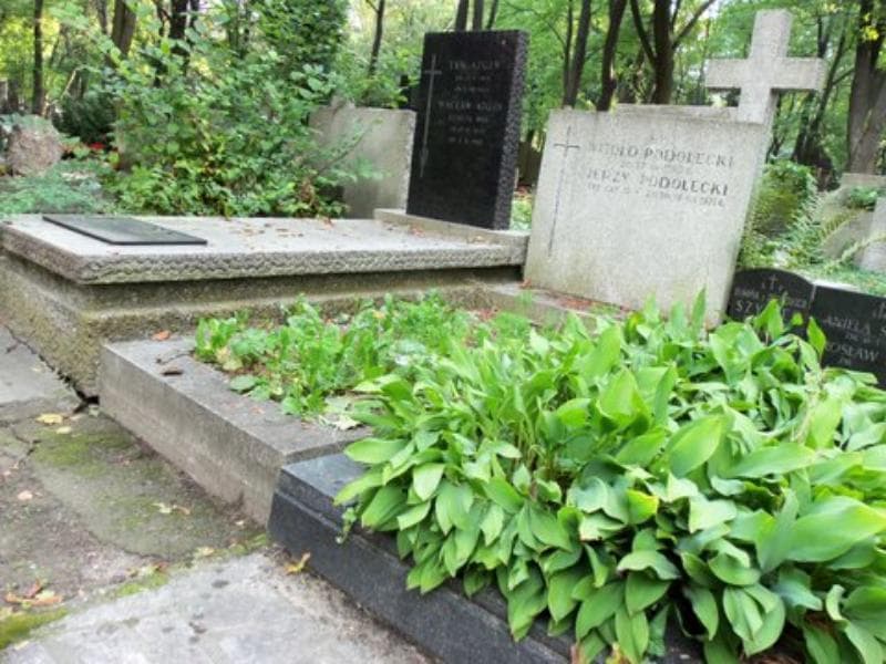 Zdjęcie grobu Jerzy Podolecki (1)