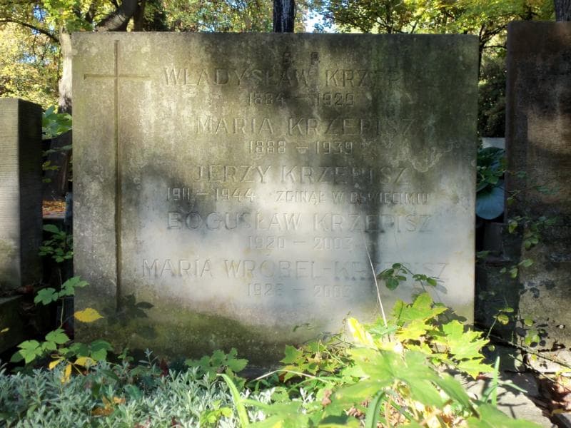 Zdjęcie grobu Maria Wróbel - Krzepisz (2)