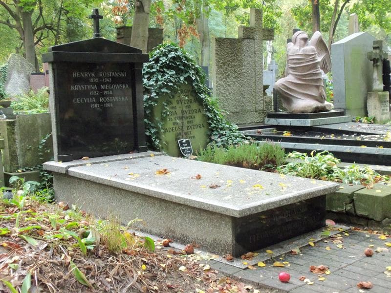 Zdjęcie grobu Jan Wróblewski (1)