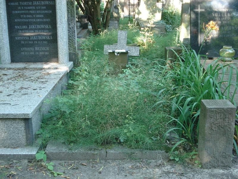 Zdjęcie grobu: Teodozja Beltta