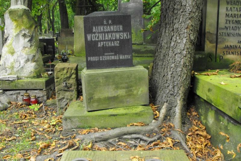 Zdjęcie grobu Aleksander Woźniakowski (2)