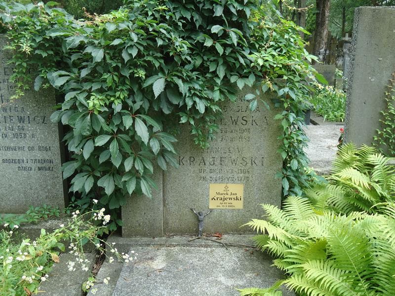Zdjęcie grobu Maria Bronisława Krajewska (2)