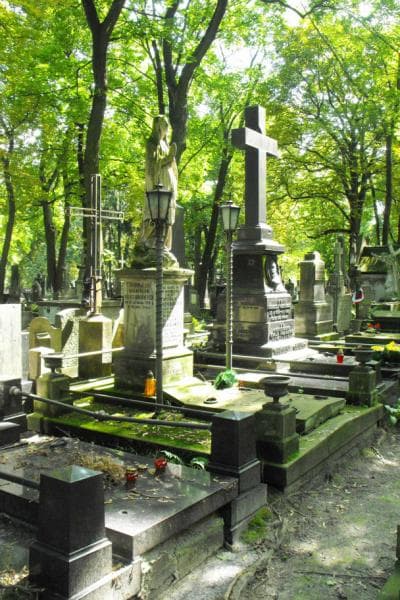 Zdjęcie grobu Melchior Władysław Nestorowicz (1)