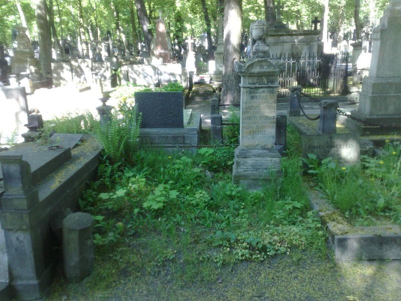Zdjęcie grobu: Kazimierz Guzowski