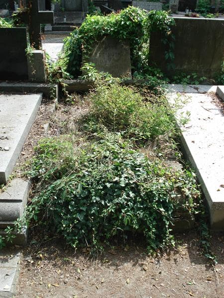 Zdjęcie grobu: Barbara Nałęcz-Korkuć
