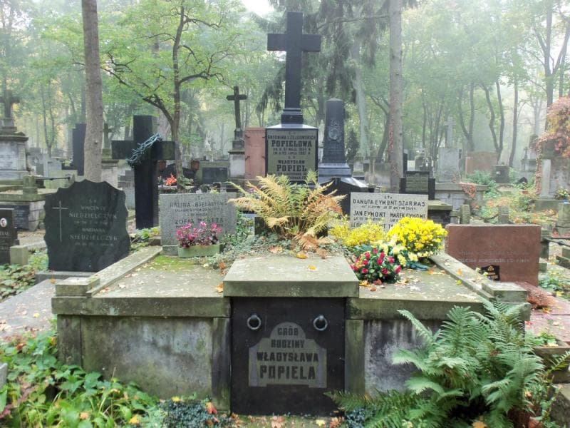 Zdjęcie grobu: Władysław Popiel