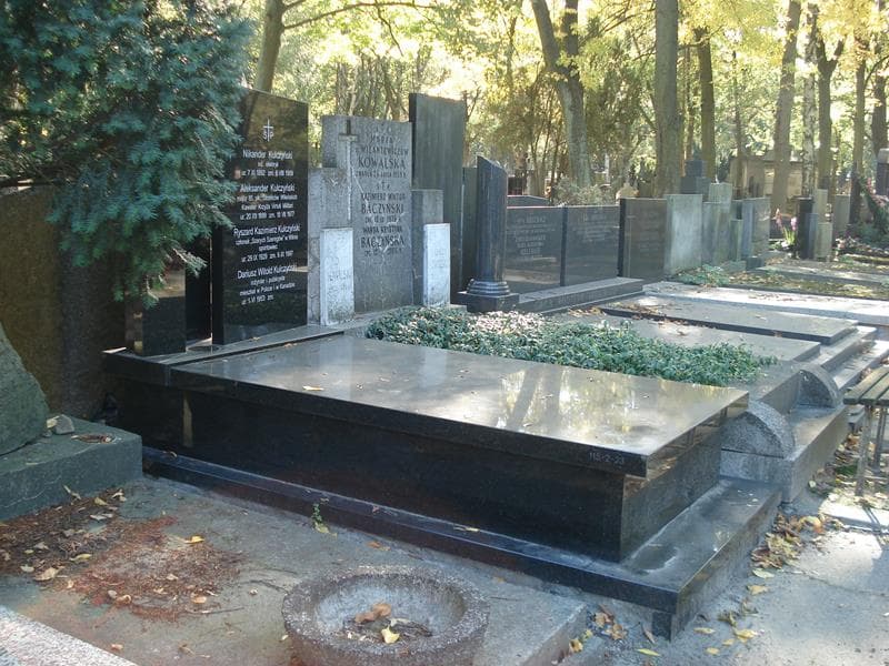 Zdjęcie grobu: Aleksander Kulczyński
