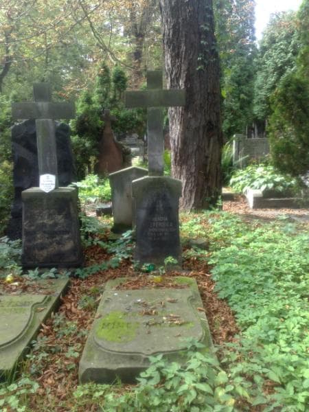 Zdjęcie grobu Helena Klimontowicz (1)