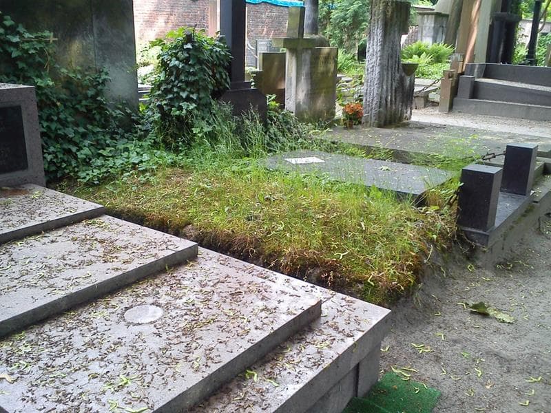 Zdjęcie grobu: Pole Grobowe