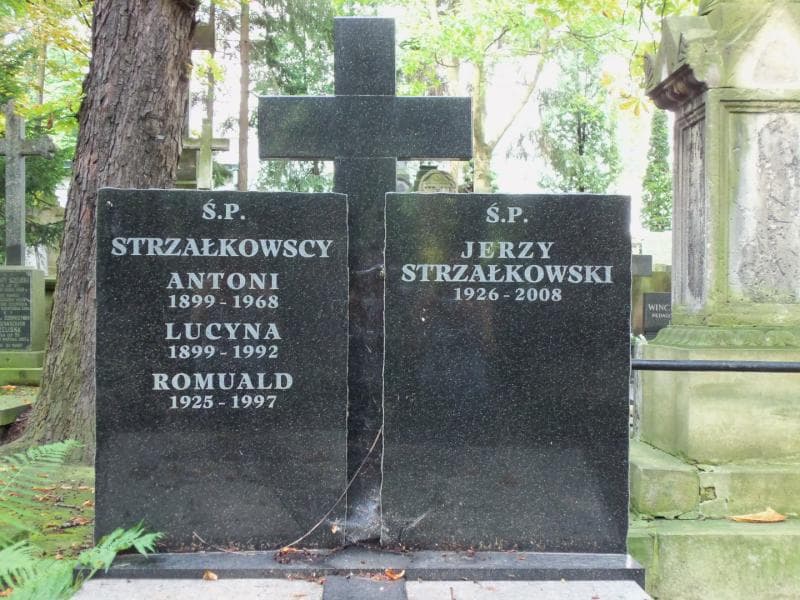 Zdjęcie grobu Antoni Strzałkowski (2)