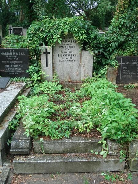 Zdjęcie grobu: Jan Jerzy Bukowski