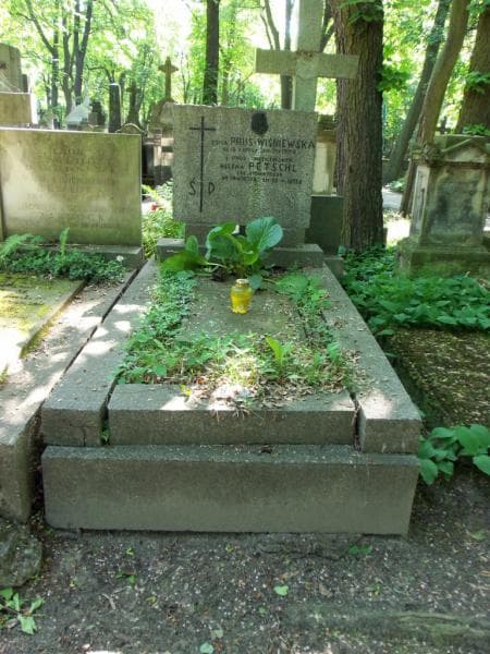 Zdjęcie grobu: Teodor Polkowski