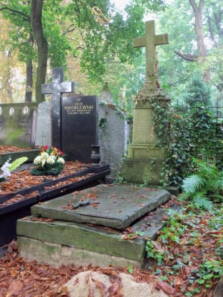 Zdjęcie grobu Leon Kułakowski (1)