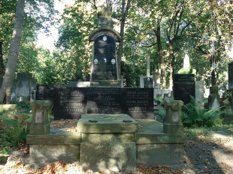 Zdjęcie grobu: Feliks Długosz