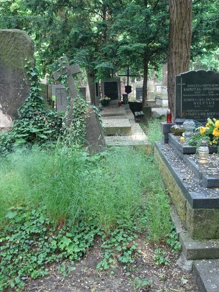 Zdjęcie grobu: Maria Kuszczyńska