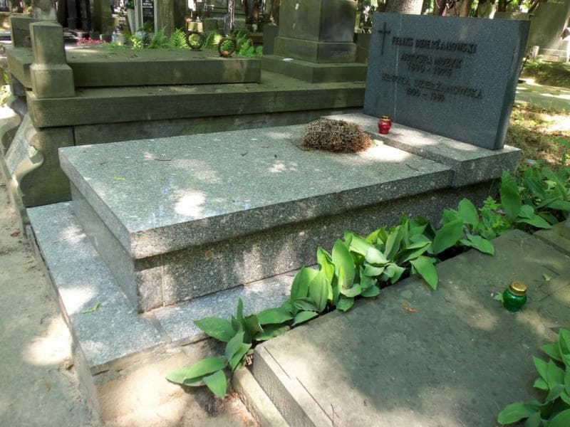 Zdjęcie grobu: Henryka Dzierżanowska