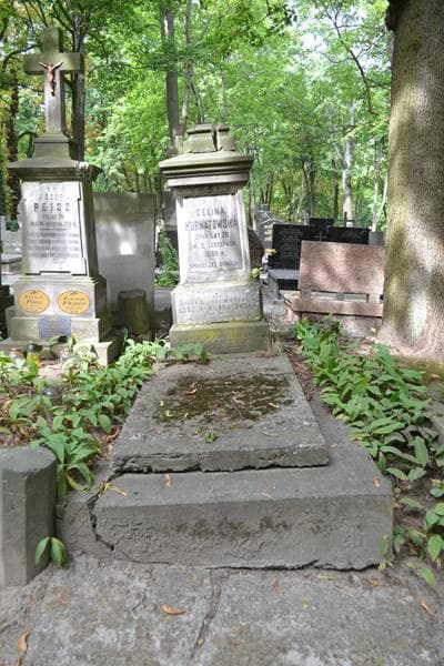Zdjęcie grobu Celina Kurnatowska (1)