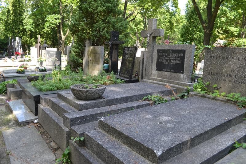Zdjęcie grobu: Wiktor Lewgowd
